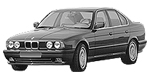 BMW E34 B245A Fault Code